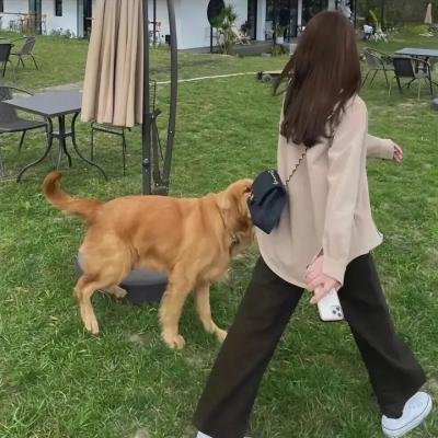 亲爱的阮小枫